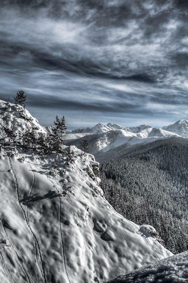 Willa Żbikówka Zakopane Exterior foto